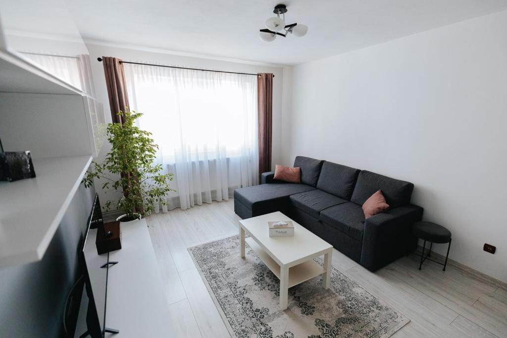 Scandinavian House Διαμέρισμα Târgu Jiu Εξωτερικό φωτογραφία